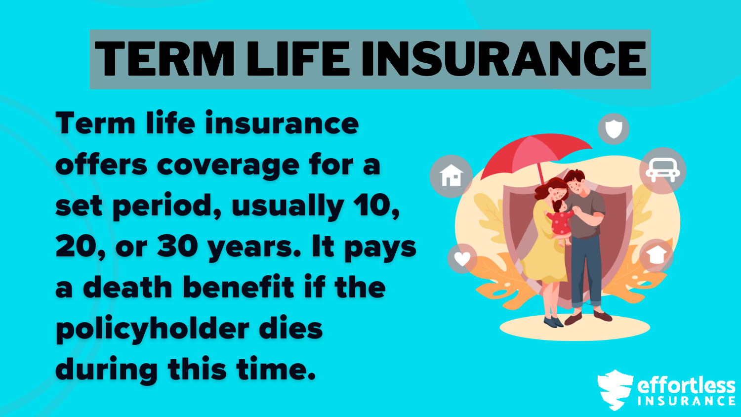 Best Term Life Insurance for Seniors Over 70: Term Life Insurance Definition Card