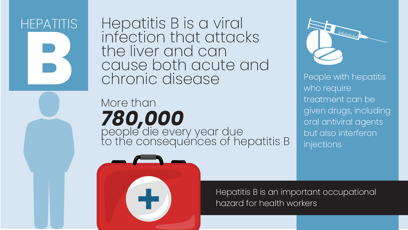 Hepatitis B Fact Sheet