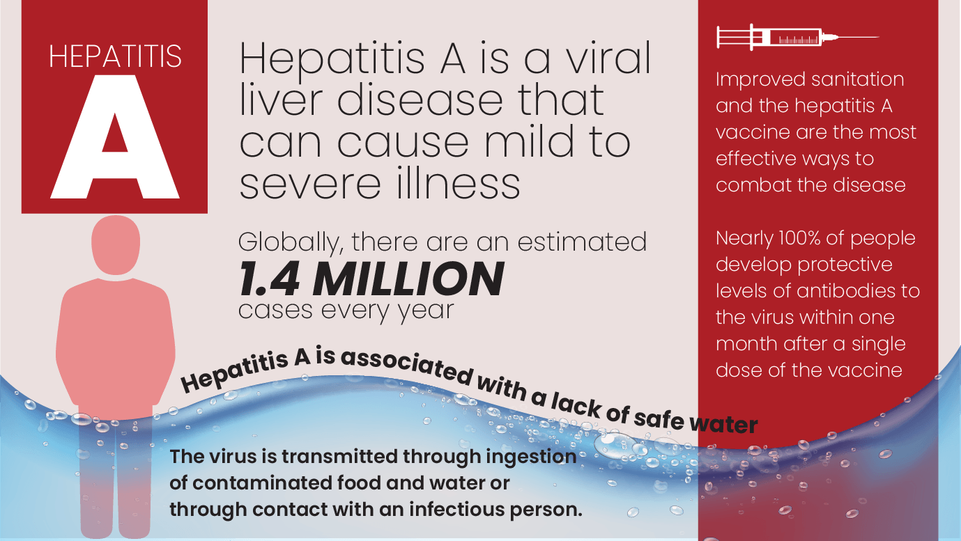 Hepatitis A Fact Sheet