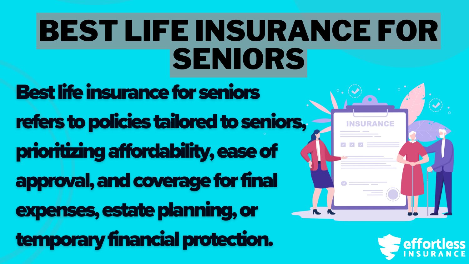 Best Life Insurance for Seniors definition Card: Cheap Life Insurance for Low-Income Families