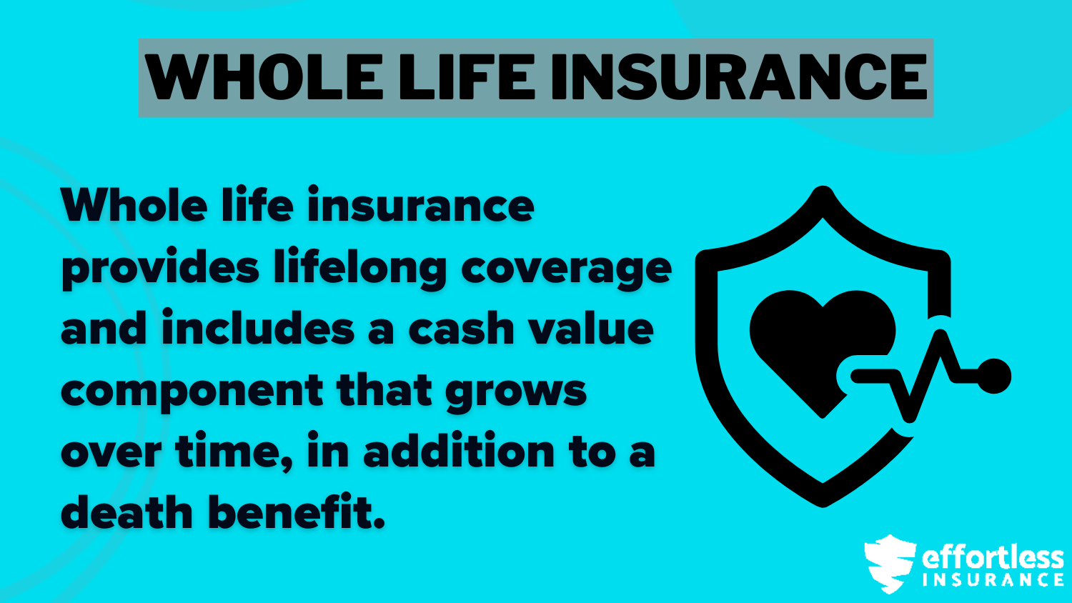 Best Life Insurance Companies That Won't Increase Rates: Whole Life Insurance Definition Card 